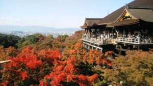 京都の紅葉