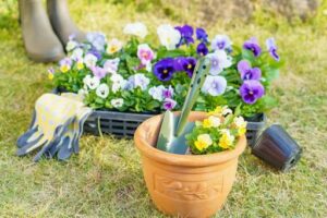 ◎寄せ植えで暮らしに彩りを◎