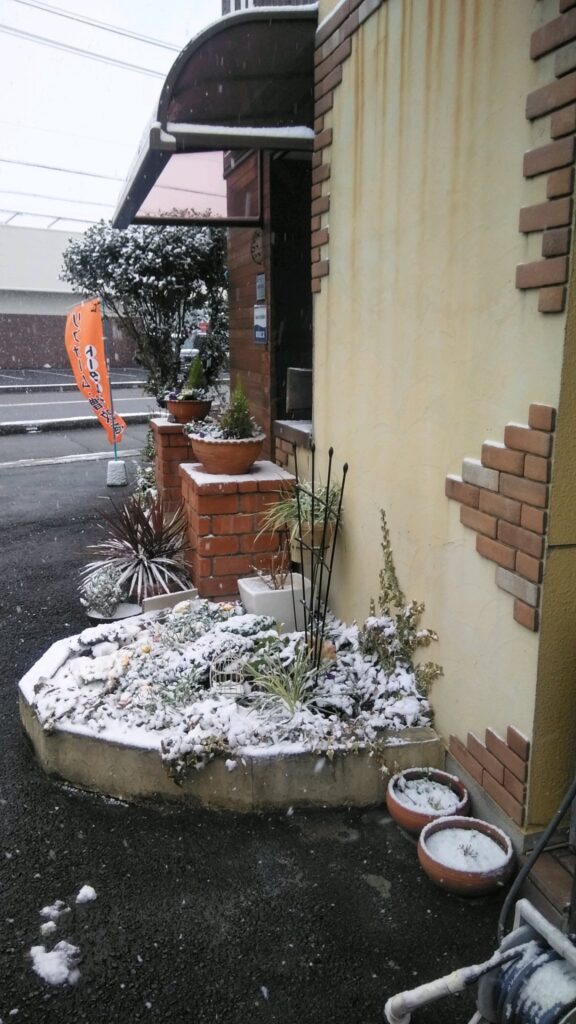 今年初雪