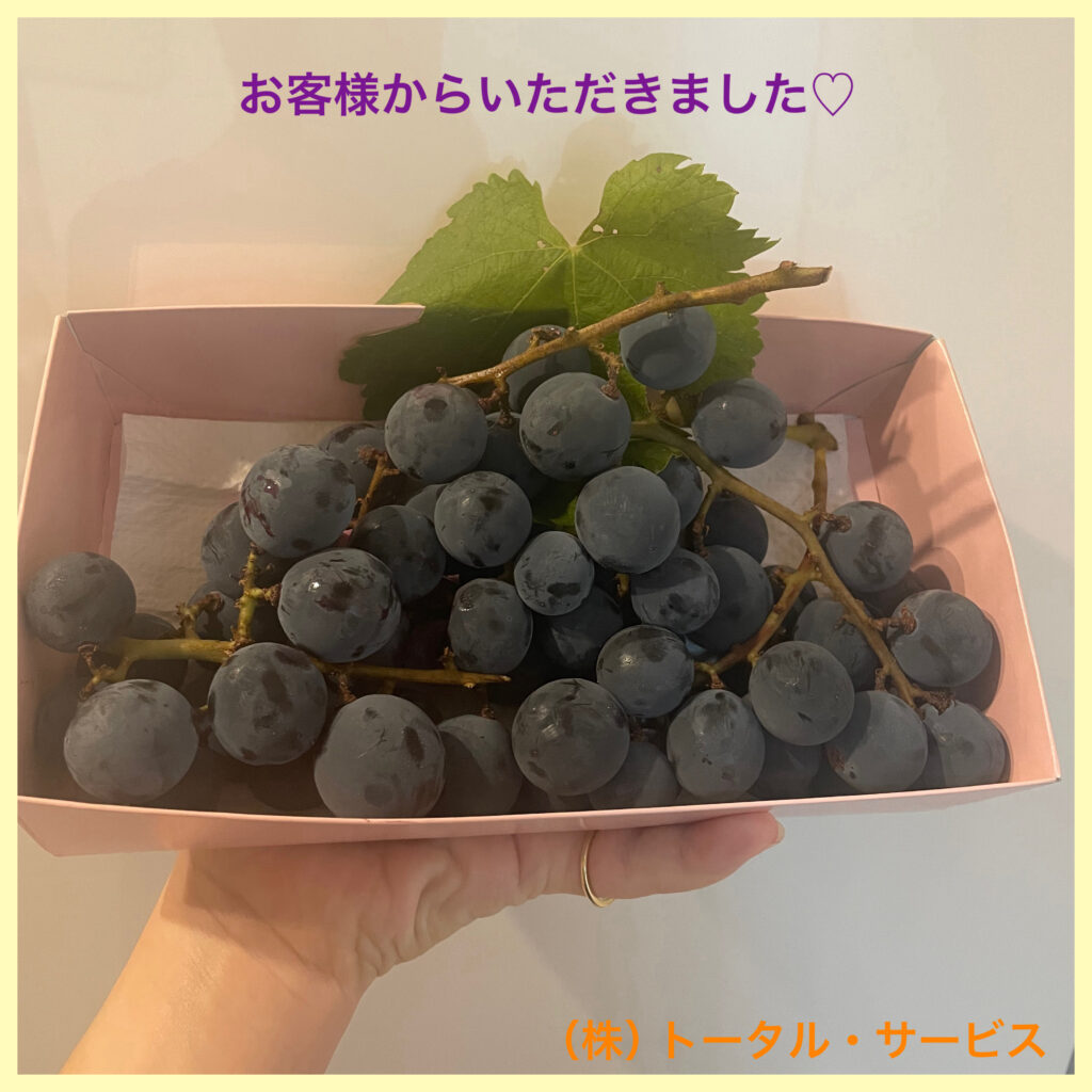 インスタ更新☆