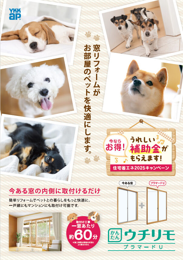 窓リフォームがお部屋のペットを快適にします🐶🐱🐥